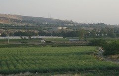 Des agriculteurs jordaniens cherchent à réguler l'importation de produits syriens