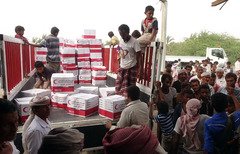 Emirati Red Crescent helps to stabilise Yemen