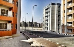 Egypt takes steps towards eliminating slums
