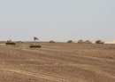 US, Jordan boost security via large-scale drills