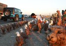 Acculés par les sanctions, les Iraniens cherchent des emplois dans la région kurde d'Irak