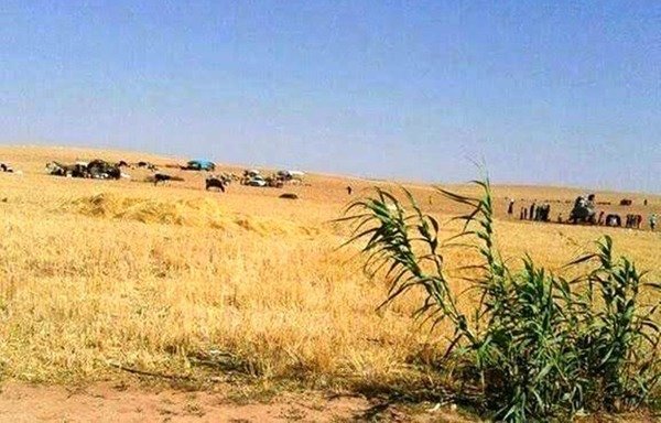 در پی ربوده شدن 900 تن از ساکنین شهر از سوی «دولت اسلامی عراق و شام» (داعش)، خانواده ها در جست و جوی پناهگاه از الباب به عفرین می گریزند. [عکس با کسب اجازه از ازاد دودیکی]