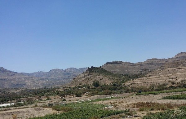 Le secteur agricole au Yémen a subi des pertes directes et indirectes à cause de la guerre qui fait rage dans le pays. [Faisal Darem/Al-Mashareq]