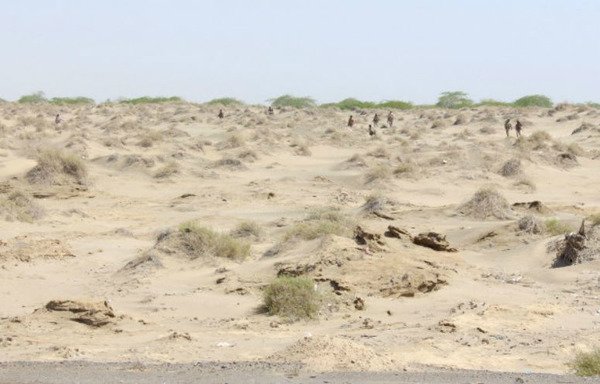 نیروهای یمنی در بخشی از عملیات به منظور بیرون راندن جنگجویان القاعده از زنجبار مرکز استان ابین به سمت ورودی این استان پیش می روند. [صالح العبیدی/خبرگزاری فرانسه]