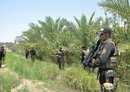 Quatre éléments de l'EIIS abattus dans le cadre de l'opération « Volonté de victoire »