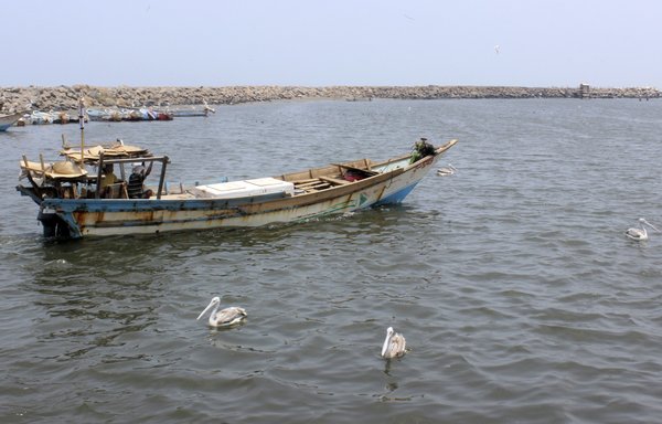 یک ماهیگیر یمنی روز ۱۱ ژوئن سال ۲۰۱۹ در بندر الحدیده در دریای سرخ به آب زده است. دولت یمن با ارسال نامه ای به شورای امنیت سازمان ملل متحد بار دیگر هشدار داده است این انبار شناور ذخیره نفت به شدت پوسیده شده و هیچکس به تعمیر و وضعیت کلی آن رسیدگی نکرده است و ترمینال تخلیه نفت نزدیک آب های ساحلی منطقه هم در شرایطی قرار دارند که یک فاجعه زیست محیطی در آستانه وقوع است. [استرینگر/ خبرگزاری فرانسه]