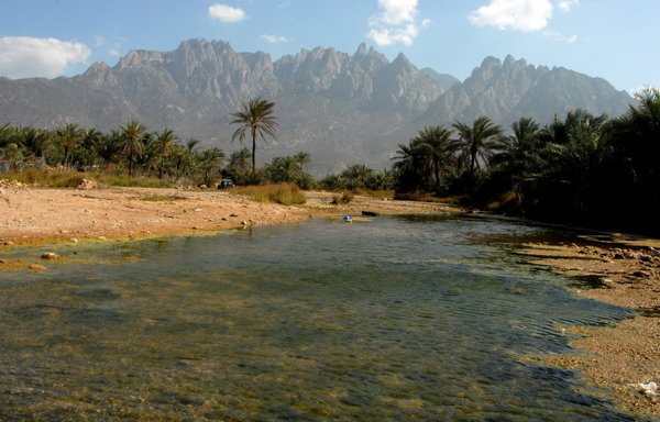 Une vue de l'île yéménite de Socotra, un site d’importance mondiale pour la préservation de la biodiversité dans le nord-ouest de l’océan Indien, le 2 mars 2008. [Khaled Fazaa/AFP]