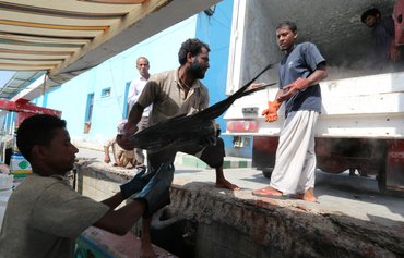 الكشف عن ʼعملية اصطياد غير قانونية ضخمةʻ لإيران في المحيط الهندي