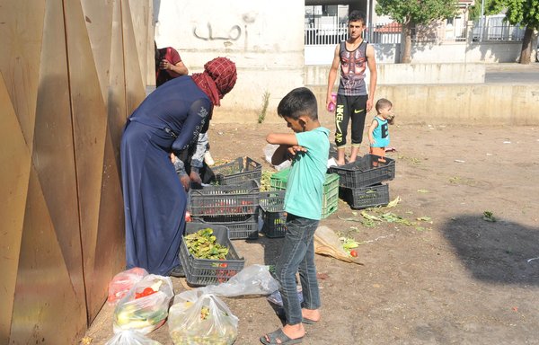 اضطر اللاجئون السوريون بسبب ظروفهم إلى البحث عن الخضراوات والفواكه في مستوعبات قمامة بعض المحلات، لينتقوا منها أي طعام ما يزال صالحا للأكل. [زياد حاتم]
