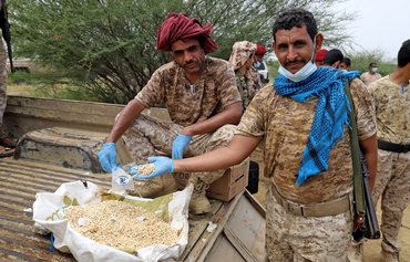 Houthis turn northern Yemeni province into centre of hashish cultivation