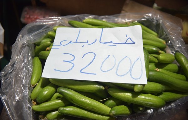 The price of staples, including vegetables, has risen greatly in Lebanon while purchasing power has declined, creating a perfect storm of suffering. In this photo, 1kg of organic cucumber now costs 32,000 LBP. [Ziad Hatem/Al-Mashareq]