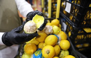 موفقیتهای بزرگ عربستان سعودی در مبارزه با مواد مخدر به کمک خبرچینها