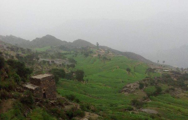 نمایی از ذخیره‌گاه اتمه در استان ذمار. [عکس از صفحۀ فیس‌بوک ذخیره‌گاه اتمه]