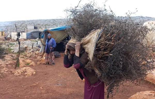 ساکنان اردوگاه التح به‌رغم شرایط دشوار هرچه در توان دارند انجام می‌دهند و از زمین‌های اطراف هیزم جمع می‌کنند تا از آن برای گرما و پخت‌وپز استفاده کنند. [عبدالسلام یوسف]