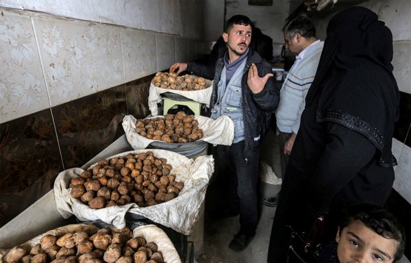 A merchant assists customers shopping for desert truffles in Hama on March 6. Truffles can sell for up to $25 per kg depending on size and grade. [Louai Beshara/AFP]